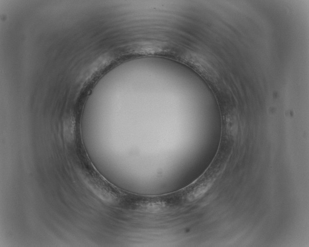 X0000071960304200607141441