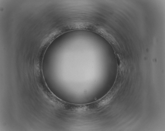 X0000071960306200607141441