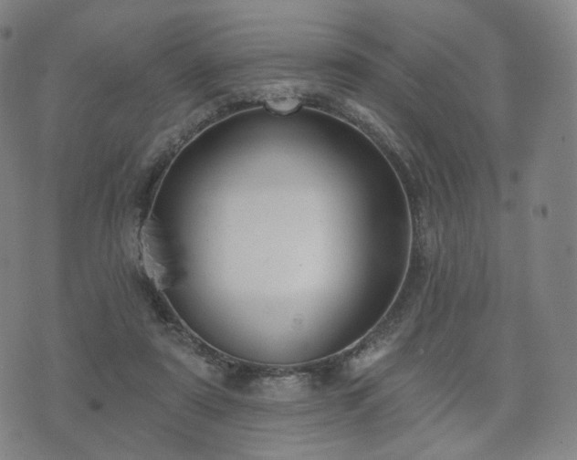 X0000071960307200607141441