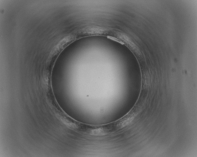 X0000071960309200607141441