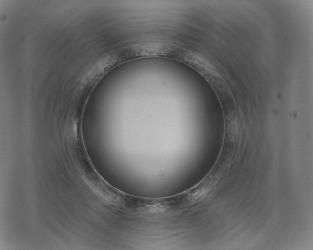 X0000071960310200607141441