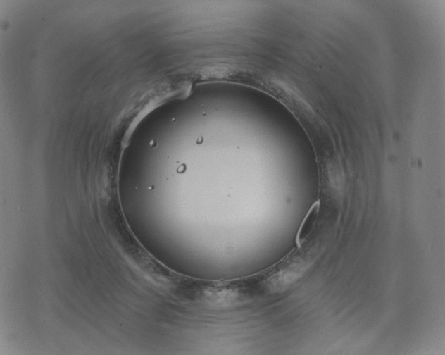 X0000071960311200607141441