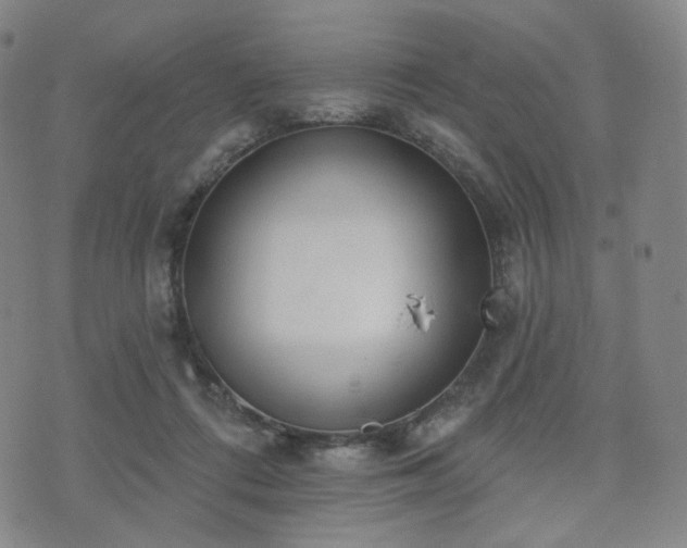 X0000071960312200607141441