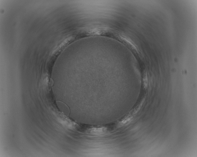 X0000071960314200607141441