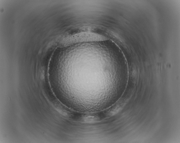 X0000071960315200607141441