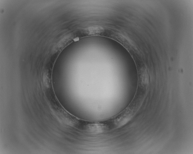 X0000071960316200607141441