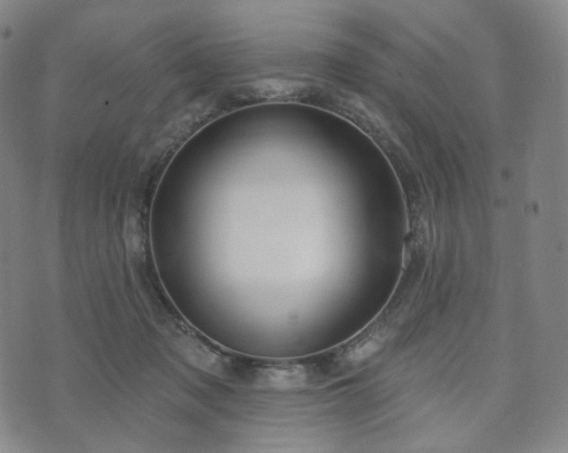 X0000071960317200607141441