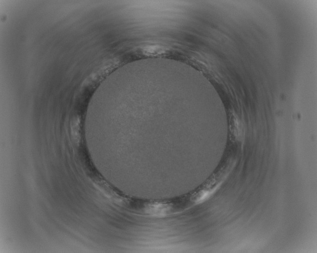 X0000071960319200607141441