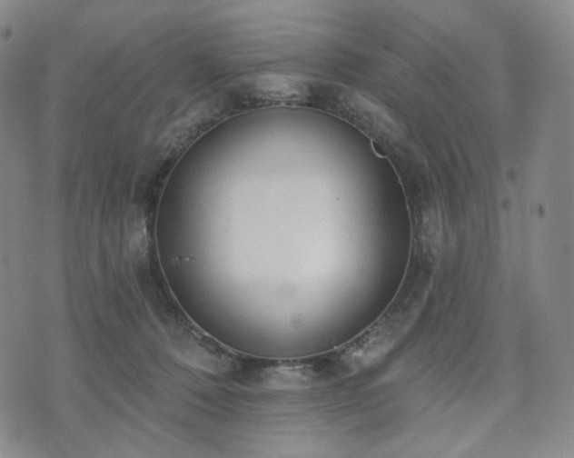 X0000071960320200607141441