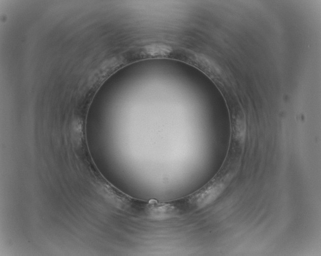 X0000071960321200607141441