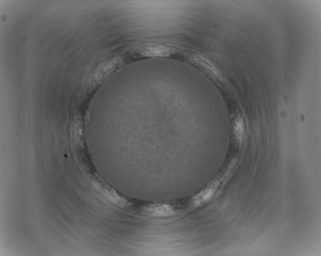 X0000071960322200607141441