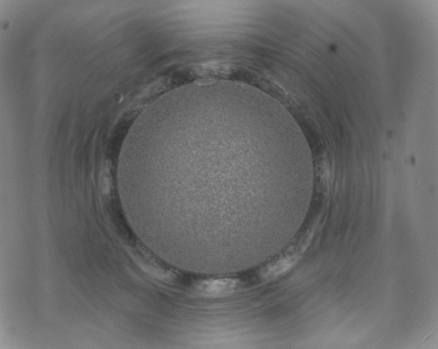 X0000071960323200607141441