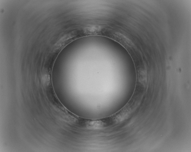 X0000071960324200607141441