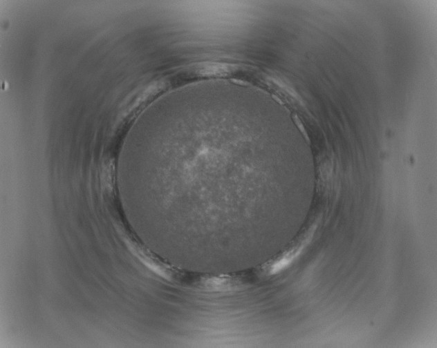 X0000071960325200607141441