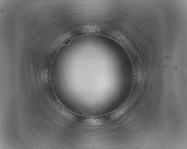 X0000071960326200607141441