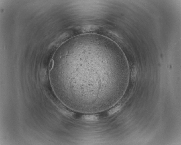 X0000071960327200607141441