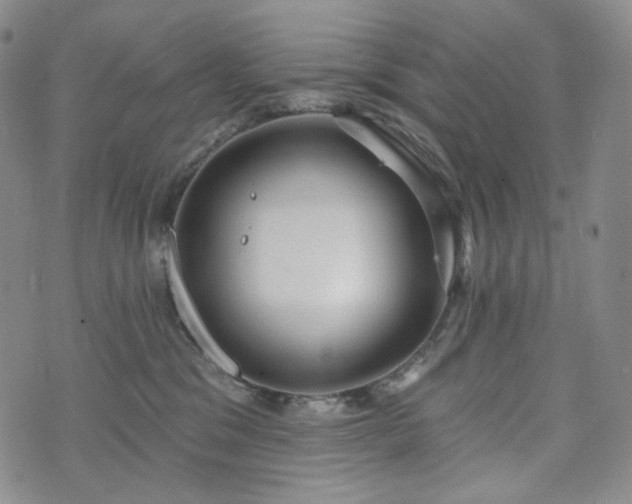 X0000071960329200607141441