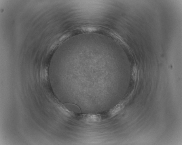 X0000071960330200607141441