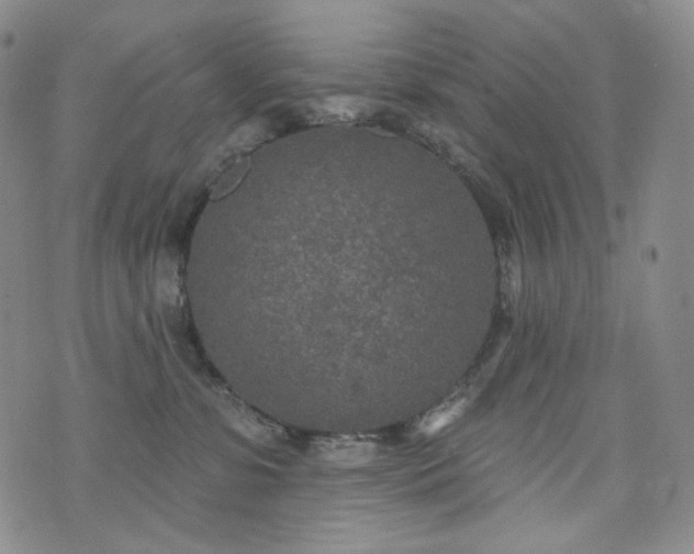 X0000071960331200607141441