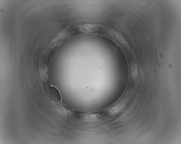 X0000071960332200607141441