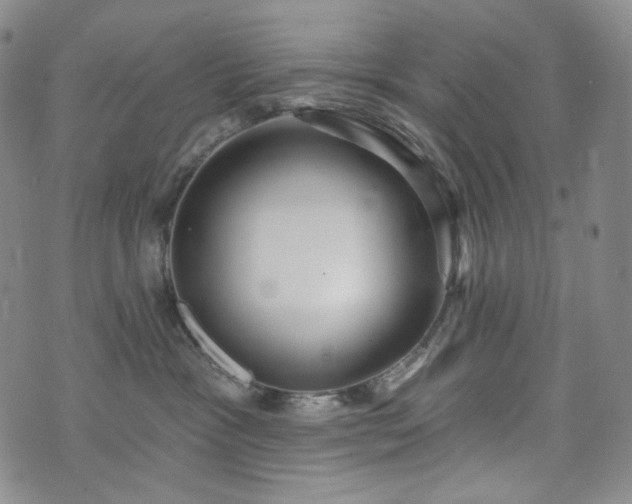 X0000071960333200607141441