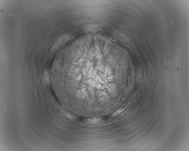 X0000071960335200607141441