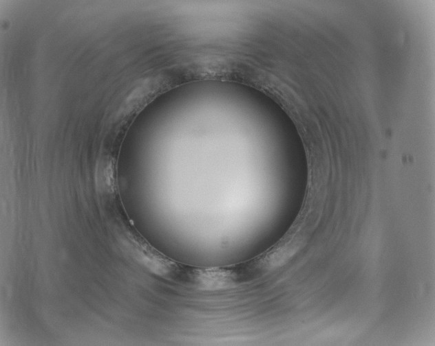 X0000071960336200607141441