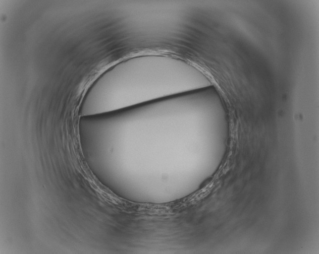 X0000071960337200607141440