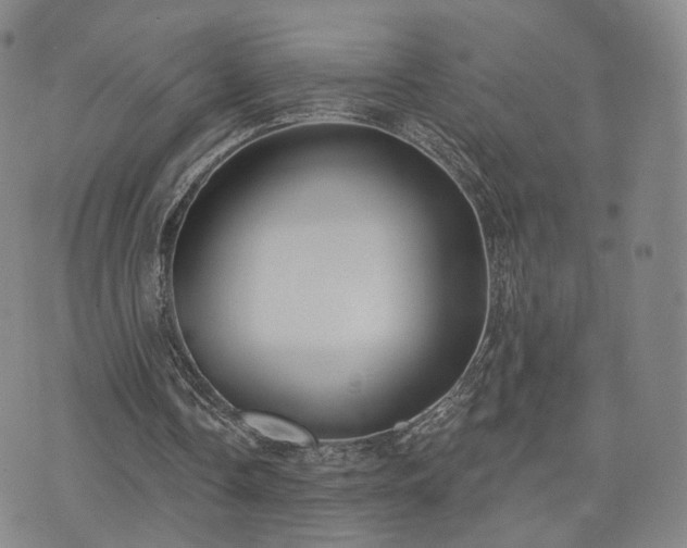 X0000071960338200607141440