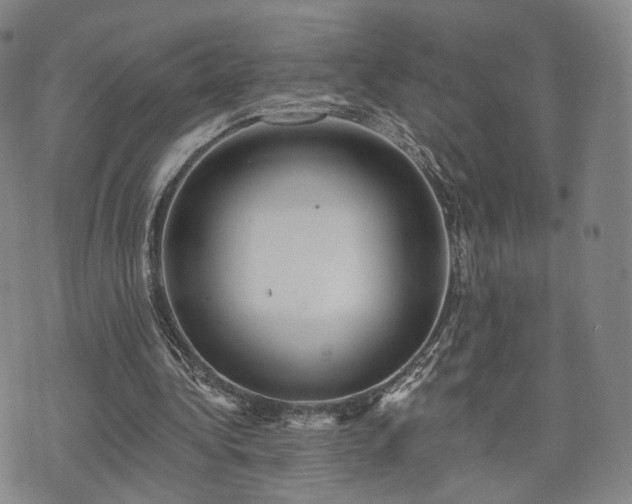 X0000071960340200607141440