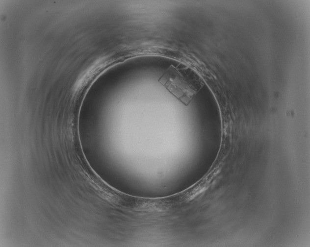 X0000071960341200607141440