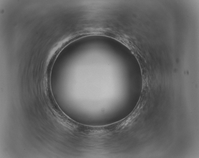 X0000071960342200607141440