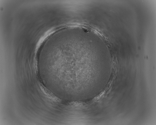 X0000071960343200607141440