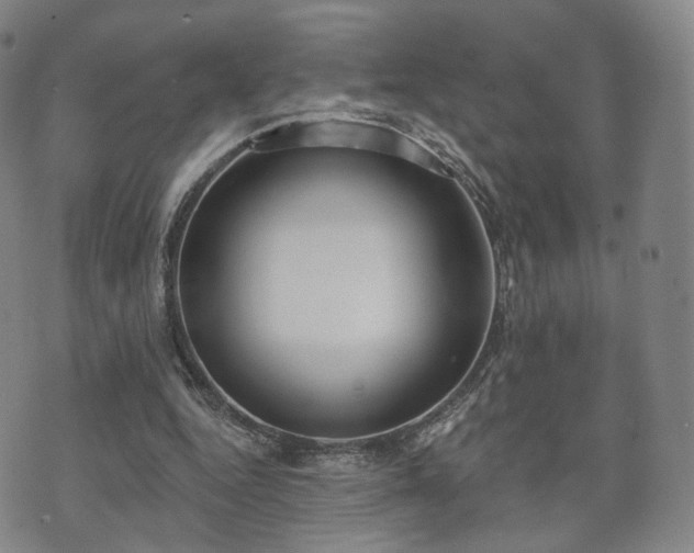 X0000071960344200607141440