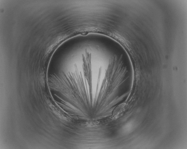 X0000071960345200607141440