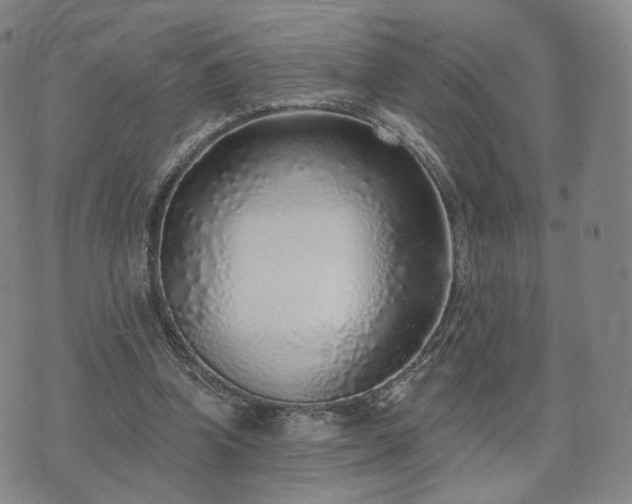 X0000071960346200607141440