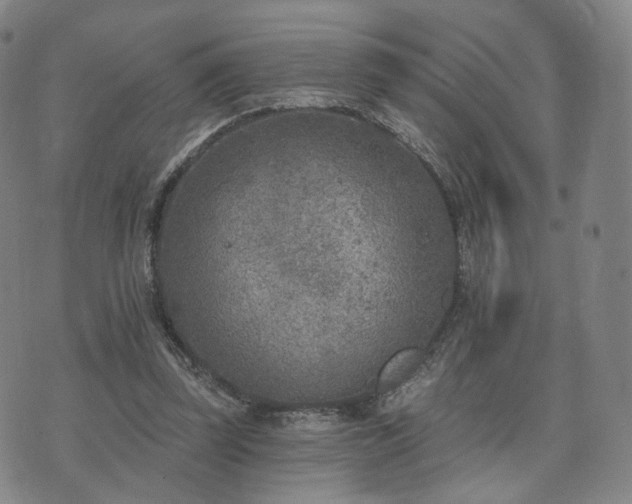 X0000071960347200607141440