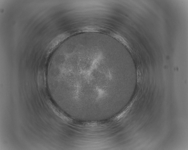 X0000071960349200607141440