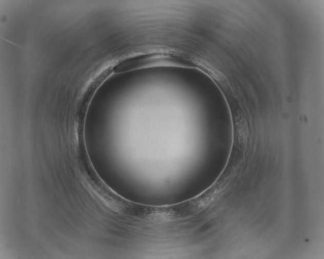 X0000071960350200607141440