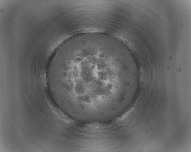 X0000071960351200607141440