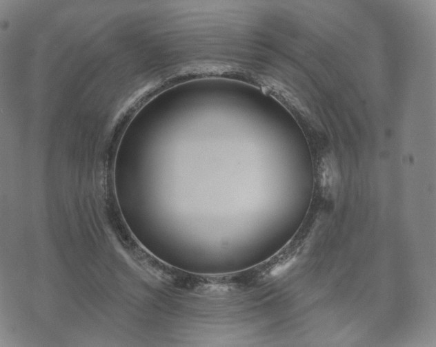 X0000071960352200607141440