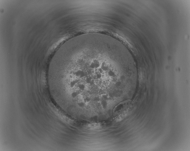 X0000071960353200607141440