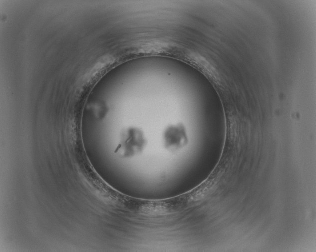 X0000071960354200607141440