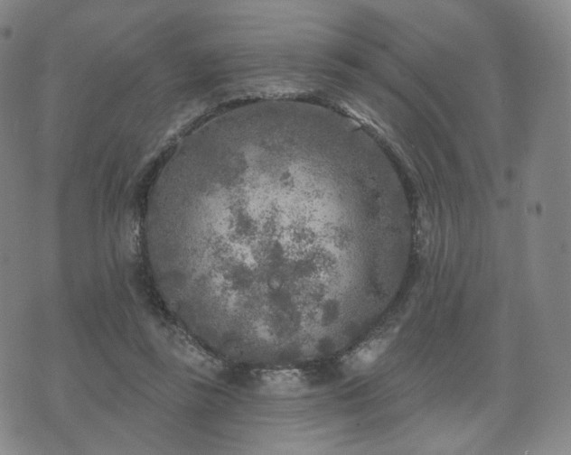 X0000071960355200607141440