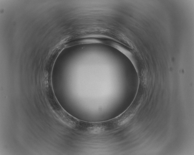 X0000071960356200607141440