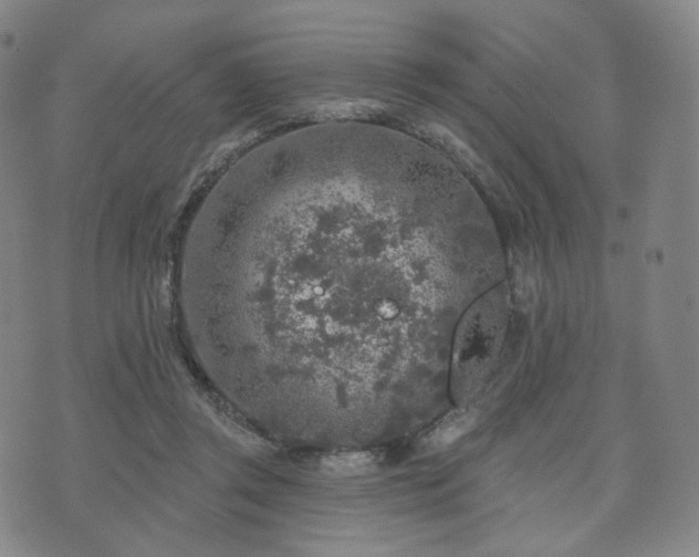 X0000071960357200607141440