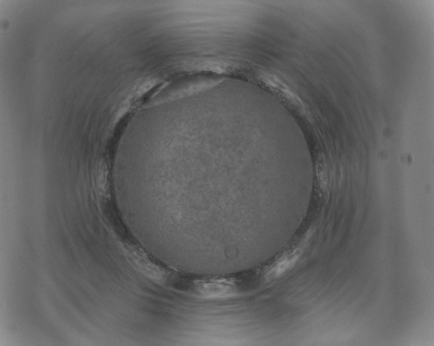 X0000071960359200607141440