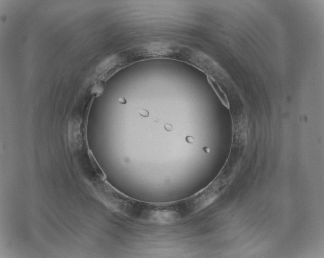 X0000071960360200607141440