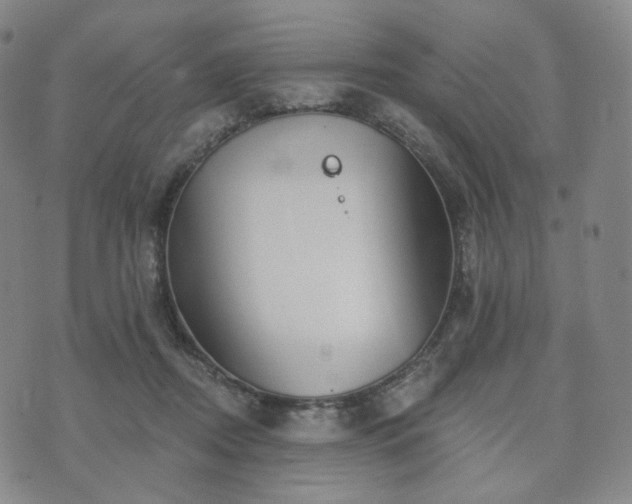 X0000071960362200607141440