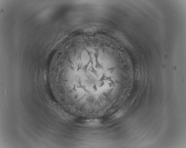 X0000071960363200607141440